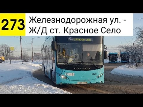 Видео: Автобус 273. Железнодорожная ул. - Ж/Д ст. Красное Село