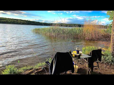 Видео: Лещи разгибают крючки.Рыбалка на леща на осколе,с ночевкой.