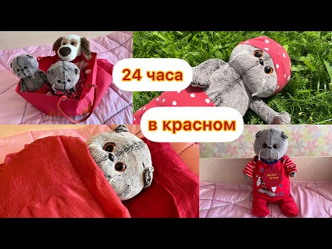 Видео: Влог с басиком 24 часа в красном цвете. #басик #басики