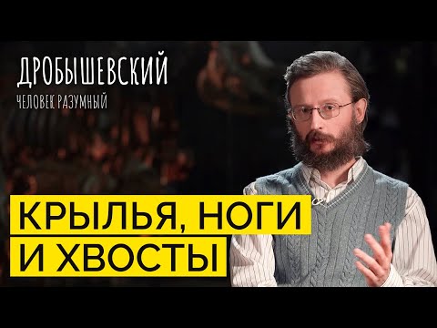 Видео: Какие звери окружали древних людей? // Дробышевский. Человек разумный