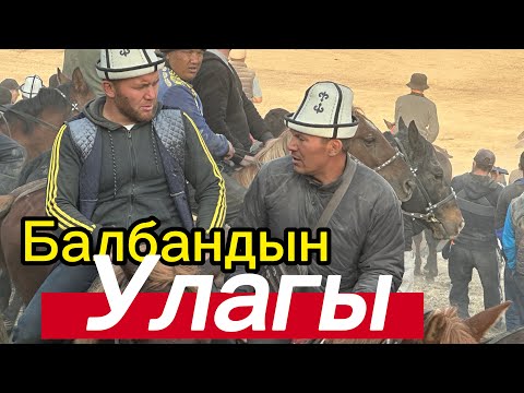 Видео:  Базар Коргон Муку Алишер Балбандардын Улагы 