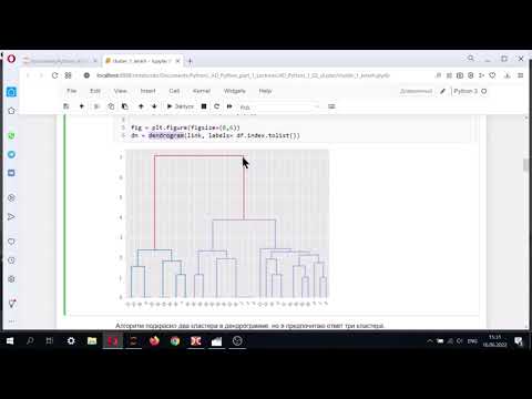 Видео: Иерархический кластерный анализ. Пример 1.