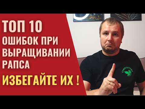 Видео: Лучшие практики при возделывании рапса — что реально важно?