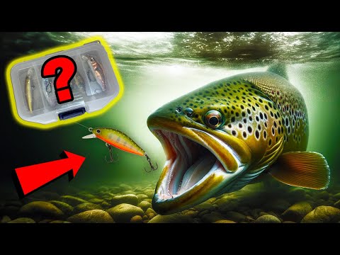 Видео: ВОБЛЕРИ и ПРОВОДКИ за РИБОЛОВ на ПЪСТЪРВА при различни условия