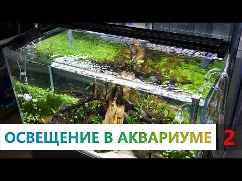 Видео: Аквариумные растения. 2 часть. Освещение в аквариуме. Как подобрать свет? Что такое спектр света