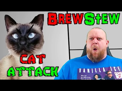 Видео: Get' em Cotton!! - РЕАКЦИЯ НА АТАКУ БРЮСТЮ-КОТА