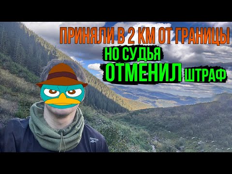 Видео: #154 МУЖИК ШЕЛ 28 ДНЕЙ. УВИДЕЛИ ПЛАТКУ УХИЛЯНТОВ, ПОДОШЛИ, А ТАМ.......