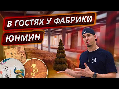 Видео: Как делают пуэр на фабрике Юнмин