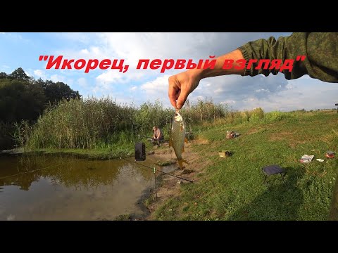Видео: "Икорец, первый взгляд". река "Икорец, река "Дон". (Попали под ливень. Ловили "золотую" плотву").