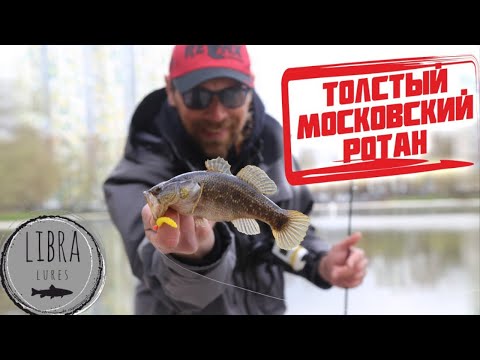 Видео: Рыбалка на крупного РОТАНА / КАК поймать?!
