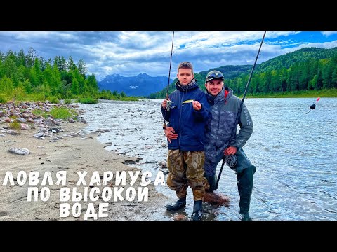 Видео: ЛОВЛЯ ХАРИУСА ПО ВЫСОКОЙ ВОДЕ. р.Китой