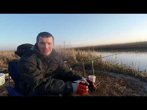 Видео: Рыбалка в Калининграде. Ловля плотвы на Новый год.