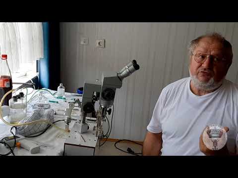 Видео: Инструментальное осеменение Юрген Браузе