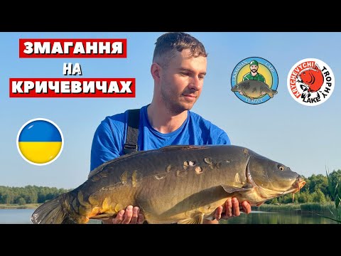 Видео: Не можемо зупинити карпа! Змотує всю волосінь!