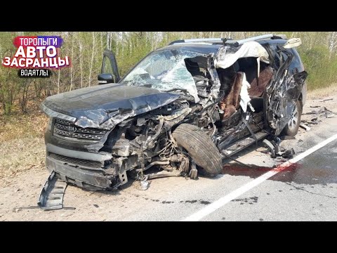 Видео: АвтоЗасранцы! Сентябрянутые Торопыги и Водятлы ДТП