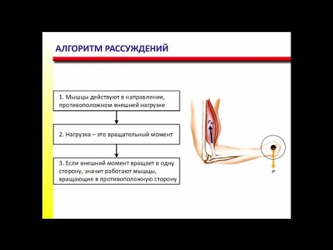Видео: Учимся решать задачи по биомеханике, простой способ определить направление момента силы. #FPA