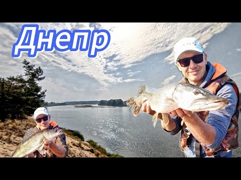 Видео: Рыбалка на Днепре. Живём на берегу в палатках, где впадает Березина в Днепр и ловим рыбу на спиннинг