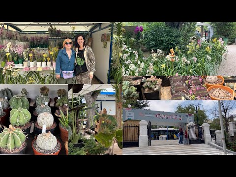Видео: Старейшая Цветочная Выставка В Греции -Кифисия 2024