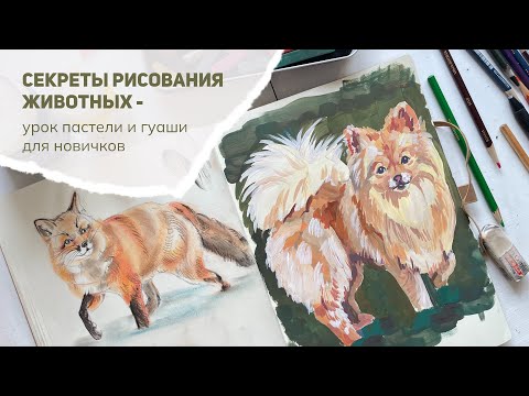 Видео: Скетчбук-практика: Рисуем животных легко! Пастель + гуашь (урок из курса).