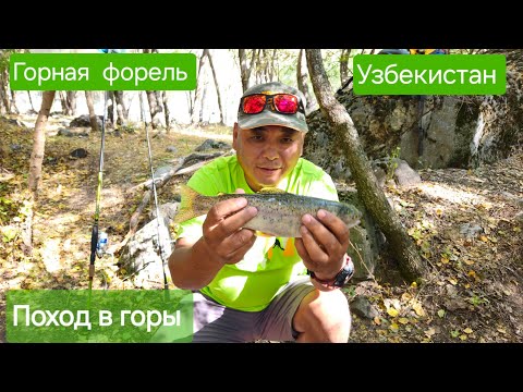 Видео: Коксу.Рыбалка на горную форель в Узбекистане. Поход за форелью в горы! Ловля форели на воблеры.