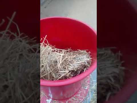 Видео: Сеноизмельчитель 7,5кВт. Видео от клиента