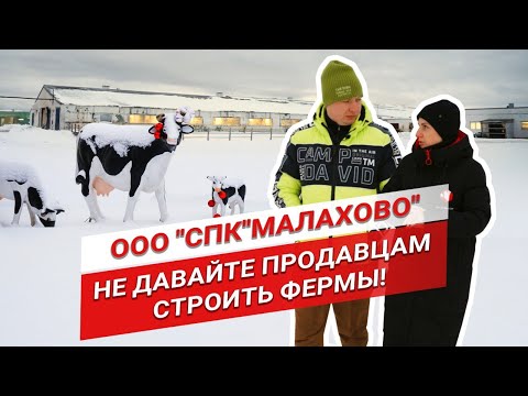 Видео: От убыточной фермы к рентабельной | Ошибки в проектировании фермы | Умная ферма Малахово