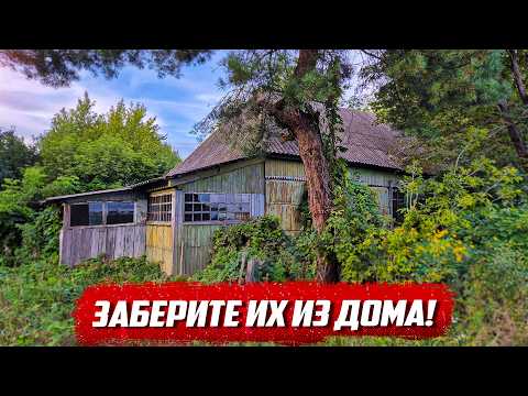 Видео: Удивительная встреча! | Курская обл, Черемисиновский район, с.Исаково