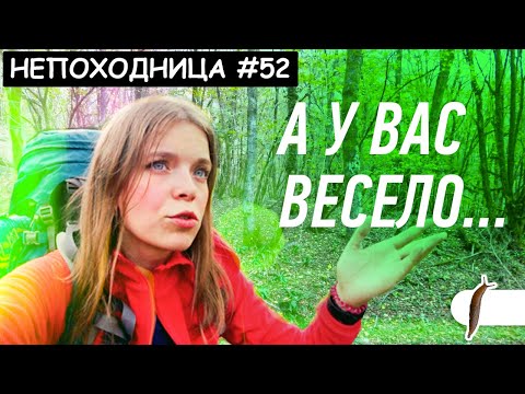 Видео: РЕШИЛА ПОЙТИ В ПОХОД. НОЧЬЮ ОКРУЖИЛИ СТРАННЫЕ ЗВЕРИ. ЧТО ТУТ ТВОРИТСЯ?НЕПОХОДНИЦА