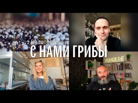 Видео: С нами грибы. Выращивание грибов в городских условиях. Кирилл Аксенов, Анна Ильвер