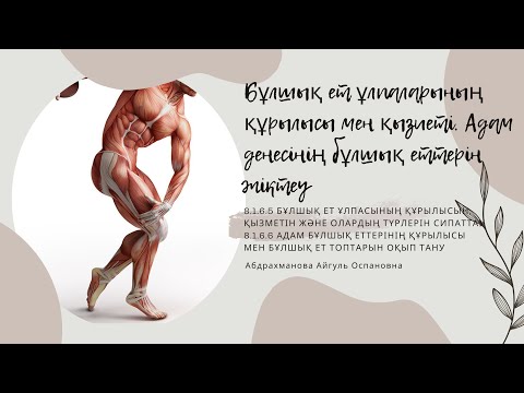 Видео: Бұлшық ет ұлпаларының құрылысы мен қызметі. 8-сынып. 8-Бөлім. Қозғалыс. Биофизика