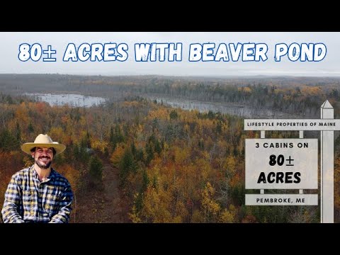 Видео: 80± акров земли для отдыха с прудом для бобра | Недвижимость в штате Мэн