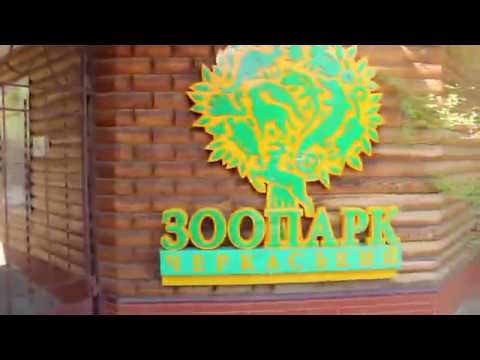 Видео: VLOG Семейный день. У Кати 100 000. Алиса впервые в зоопарке.