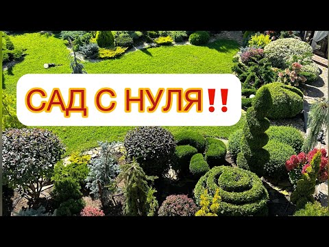 Видео: ‼️САД С НУЛЯ‼️ ОШИБКИ В ПОСАДКАХ. Разбор моего сада