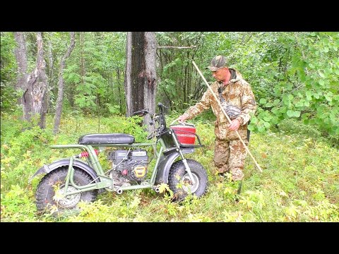 Видео: ПОШЁЛ В ЛЕС ЗА ГРИБАМИ, А НАШЁЛ СОВСЕМ НЕ ТО ЧТО ОЖИДАЛ / ТИХАЯ ОХОТА В ТАЙГЕ. МОТОВЕЗДЕХОД SR-21.