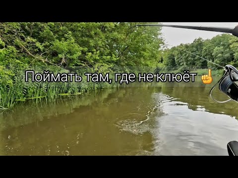 Видео: Река на которой очень трудно поймать. Рыбалка при сломе погоды