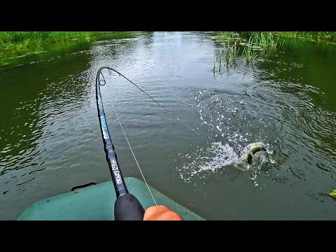 Видео: РЫБА ПРОСТО ОДУРЕЛА... ПРЫГАЕТ ЛОМАЕТ КРЮЧКИ! ЭТО ЖЕСТЬ! Рыбалка на спиннинг 2023.