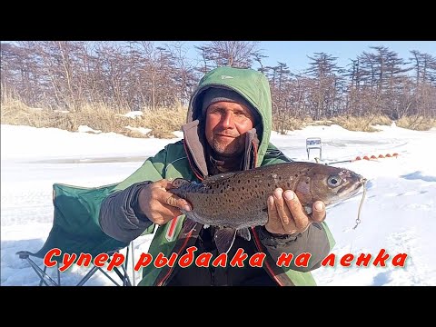 Видео: Супер рыбалка на ленка