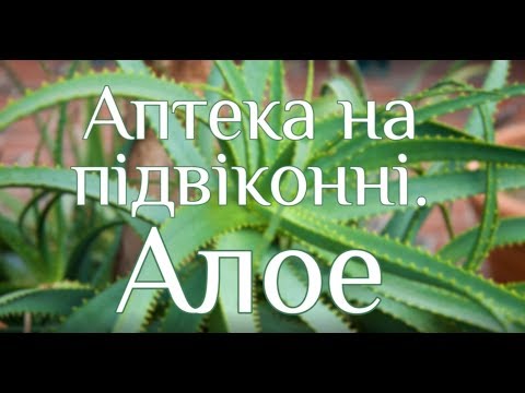 Видео: Алое