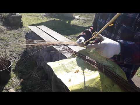 Видео: МК от Юриса Гаврса окорка прутьев ивы