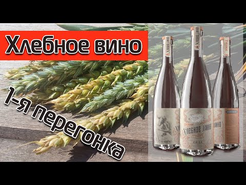 Видео: ПОЛУГАР (ХЛЕБНОЕ ВИНО). Первая перегонка