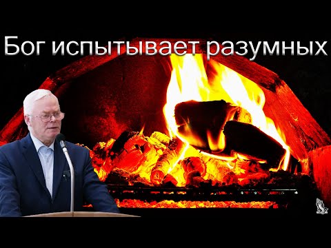 Видео: "Бог испытывает разумных" Янц Я.Я.