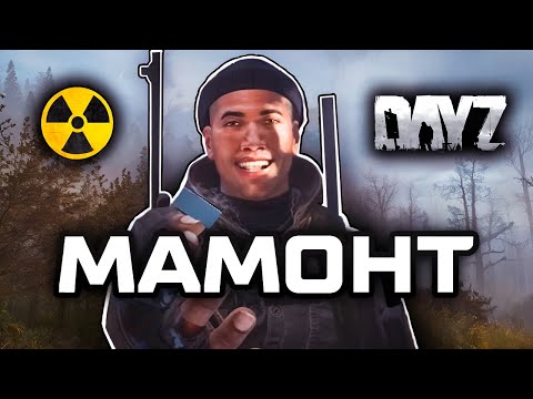 Видео: Мамонты 2 | S.T.A.L.K.E.R