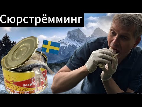 Видео: ⁠«Самая вонючая рыба в мире! Сюрстрёмминг Challenge»
