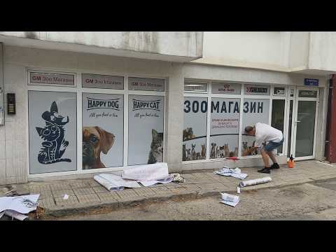 Видео: Как и Защо ОТВОРИХ ЗООМАГАЗИН ?