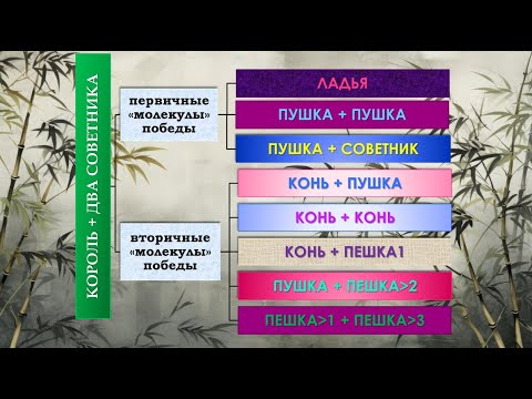 Видео: Эндшпиль китайских шахмат - №5 - Против двух советников