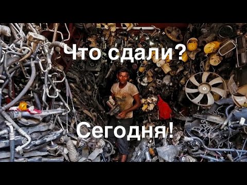 Видео: ЧТО СДАЮТ НА МЕТАЛЛОМ?сезон открыт