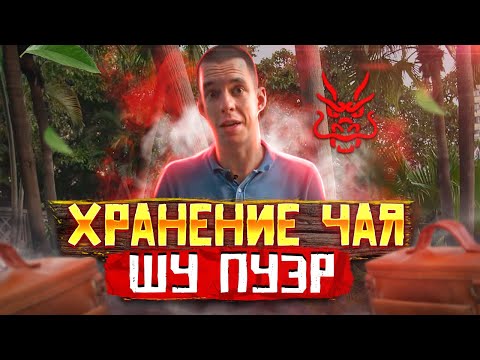Видео: Хранение чая // ЧАЙ ПУЭР // Как хранить чай?