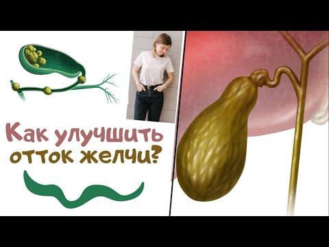 Видео: Как улучшить отток желчи?