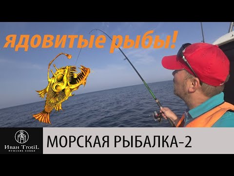 Видео: Ловим морского карася (дорадо) и ерша (скорпена). Покупаем живые мидии и устрицы на Черном море.
