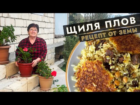 Видео: 🍚 Щиля плов от Земы — ароматное блюдо Азербайджанской кухни 🌿✨
